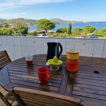 Lejlighed T3 A Banyuls-sur-mer, Terrasse Et Parking Prive - Fr-1-309-209